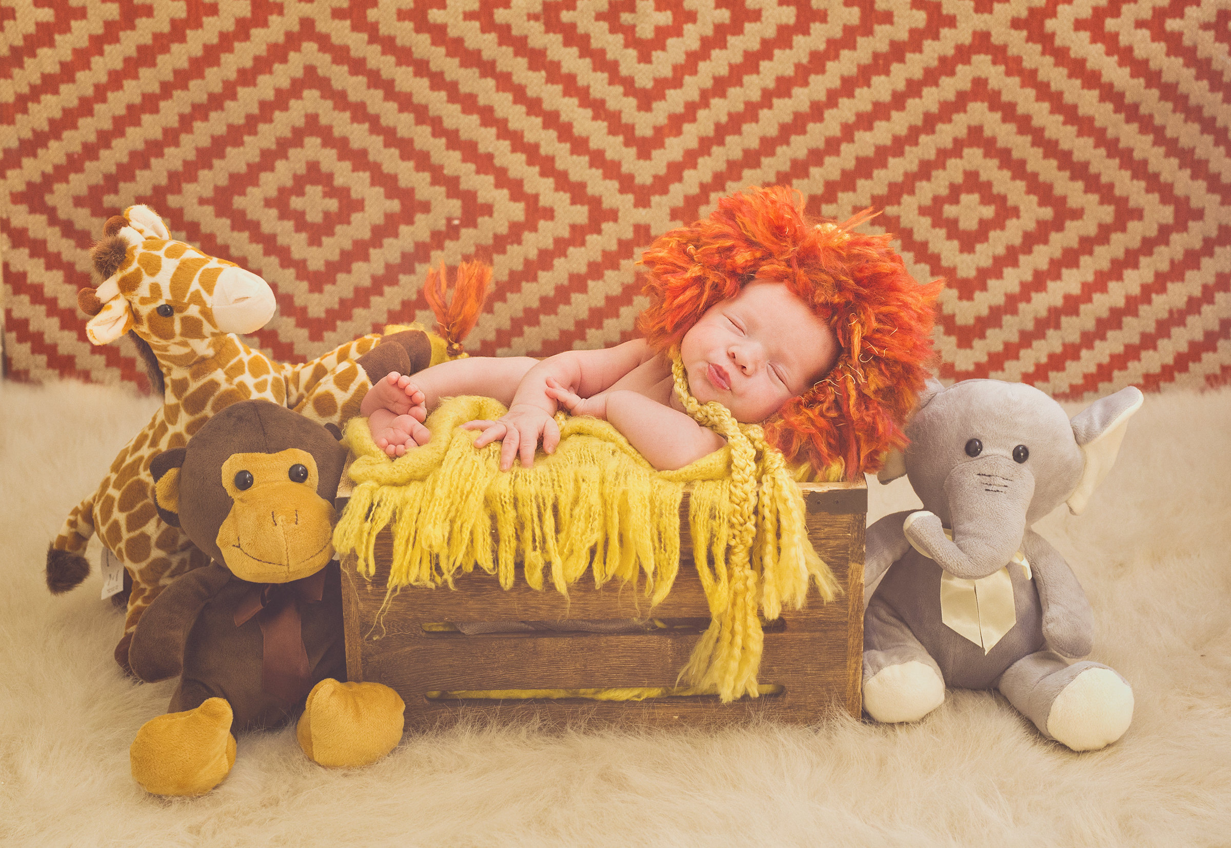 Newborn photography